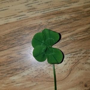 Meet your Posher, Shelly